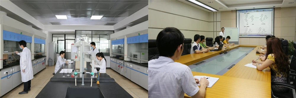chemical synthesis | Shaanxi BLOOM Tech Co., Ltd chemical synthesis | Shaanxi BLOOM Tech Co., Ltd