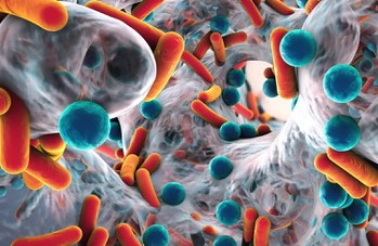 Naproxen Sodium effect Naproxen Sodium effect