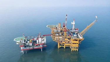 ethyl oleate uses | Shaanxi BLOOM Tech Co., Ltd ethyl oleate uses | Shaanxi BLOOM Tech Co., Ltd