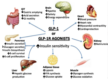 info-520-383 info-520-383