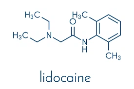 99.9% Pure Lidocaine Powder CAS 137-58-6 | Shaanxi BLOOM Tech Co., Ltd 99.9% Pure Lidocaine Powder CAS 137-58-6 | Shaanxi BLOOM Tech Co., Ltd
