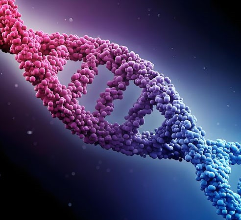 NAD+ peptide injection use | Shaanxi BLOOM Tech Co., Ltd NAD+ peptide injection use | Shaanxi BLOOM Tech Co., Ltd