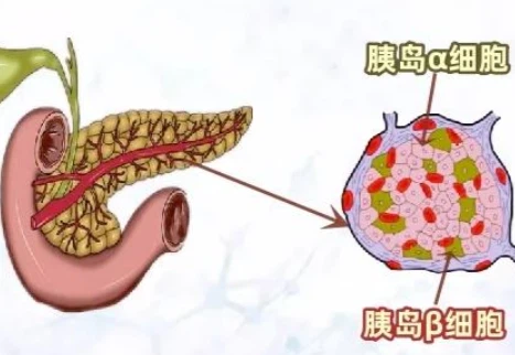 Bioglutide NA-931 Buy | Shaanxi BLOOM Tech Co., Ltd Bioglutide NA-931 Buy | Shaanxi BLOOM Tech Co., Ltd