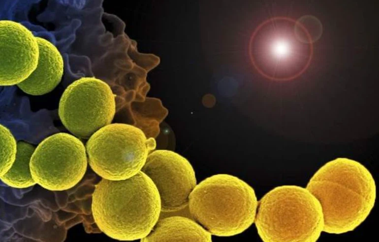 Bioglutide NA-931 Imaging techniques | Shaanxi BLOOM Tech Co., Ltd Bioglutide NA-931 Imaging techniques | Shaanxi BLOOM Tech Co., Ltd