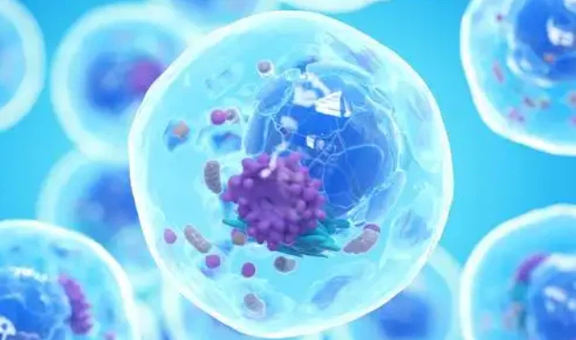 GS 441524 pharmacology | Shaanxi BLOOM Tech Co., Ltd GS 441524 pharmacology | Shaanxi BLOOM Tech Co., Ltd