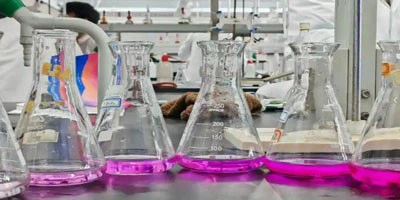 Articaine Hcl For sale | Shaanxi BLOOM Tech Co., Ltd Articaine Hcl For sale | Shaanxi BLOOM Tech Co., Ltd