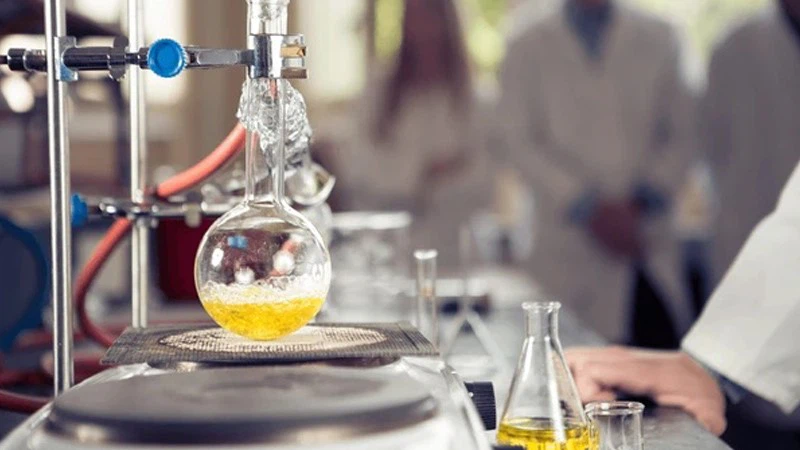 ITPP Buy | Shaanxi BLOOM Tech Co., Ltd ITPP Buy | Shaanxi BLOOM Tech Co., Ltd