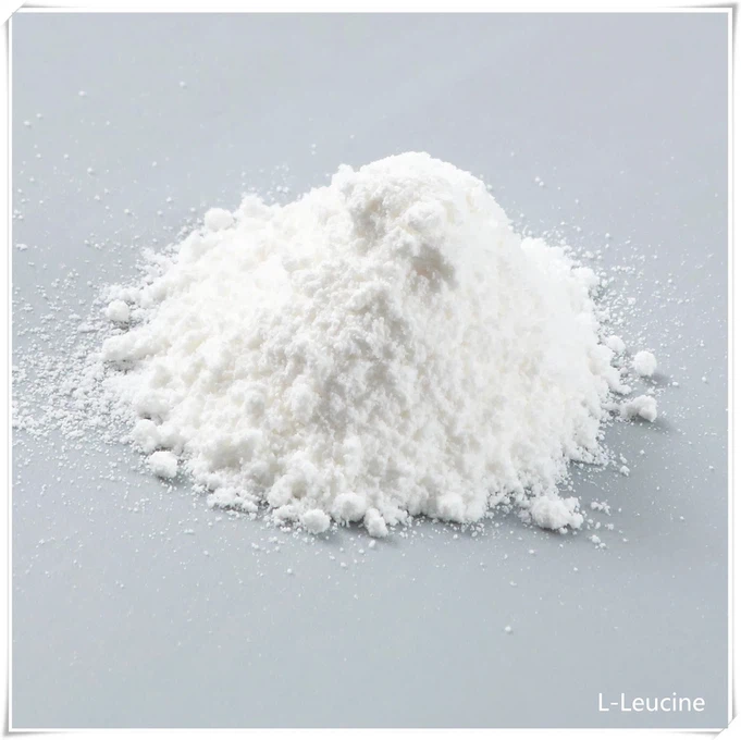 L-leucine Powder CAS 61-90-5 | Shaanxi BLOOM Tech Co., Ltd L-leucine Powder CAS 61-90-5 | Shaanxi BLOOM Tech Co., Ltd