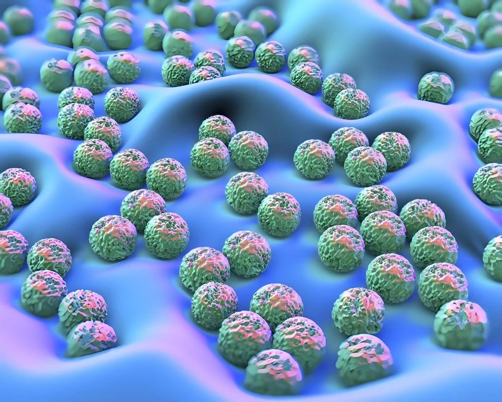 Metronidazole Topical Cream 75% use| Shaanxi BLOOM Tech Co., Ltd Metronidazole Topical Cream 75% use| Shaanxi BLOOM Tech Co., Ltd