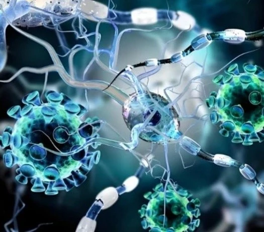 TB 500 Peptide deal | Bloomtechz TB 500 Peptide deal | Bloomtechz